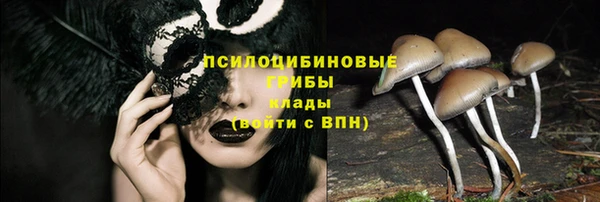 jwh Алзамай