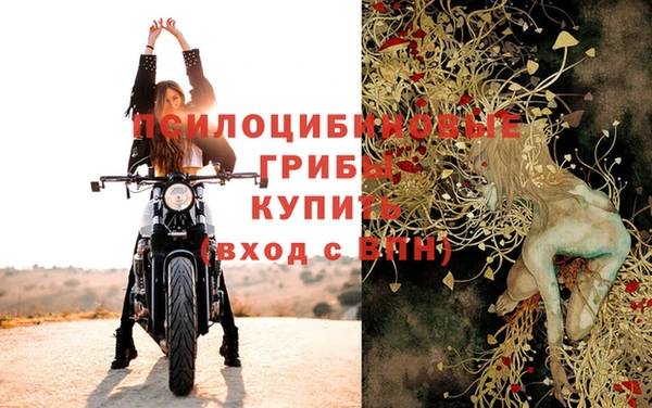 МДПВ Алексин
