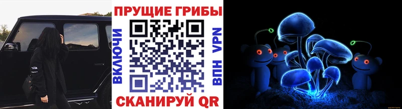 купить наркотики цена Чусовой KRAKEN ССЫЛКА Галлюциногенные грибы прущие грибы